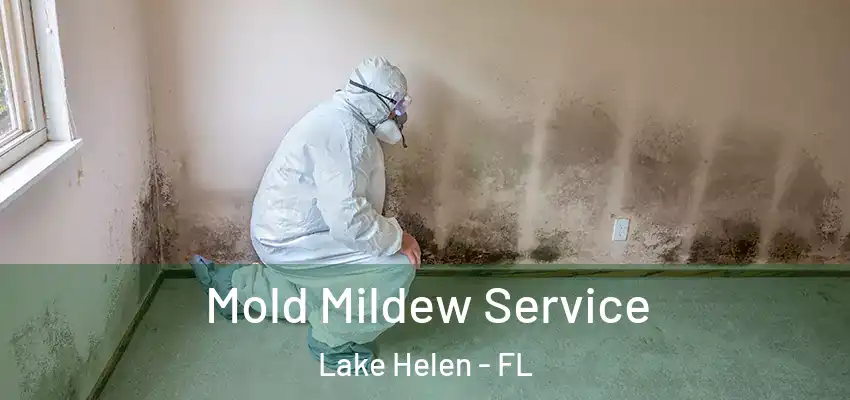  Mold Mildew Service Lake Helen - FL
