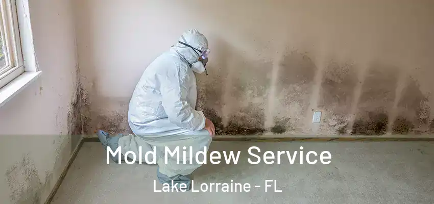  Mold Mildew Service Lake Lorraine - FL