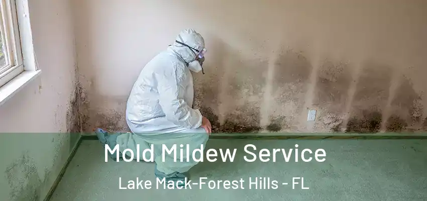  Mold Mildew Service Lake Mack-Forest Hills - FL