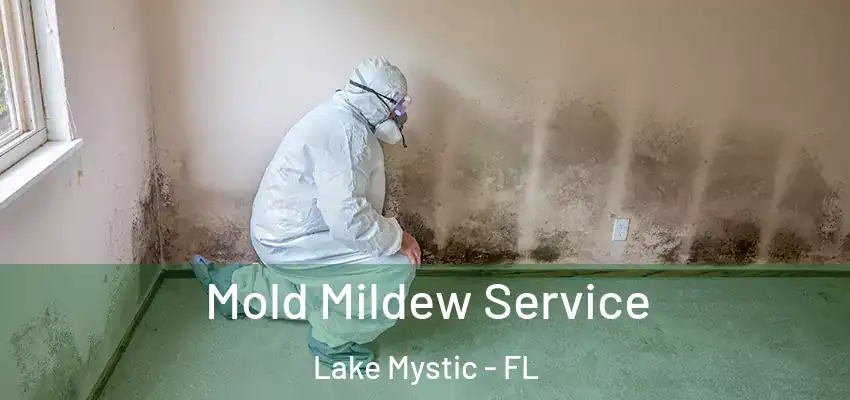 Mold Mildew Service Lake Mystic - FL