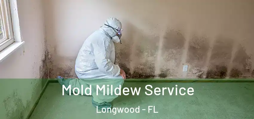 Mold Mildew Service Longwood - FL