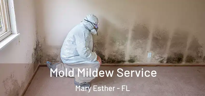  Mold Mildew Service Mary Esther - FL