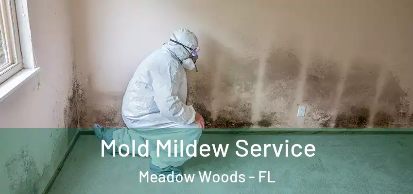  Mold Mildew Service Meadow Woods - FL