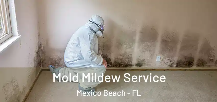  Mold Mildew Service Mexico Beach - FL