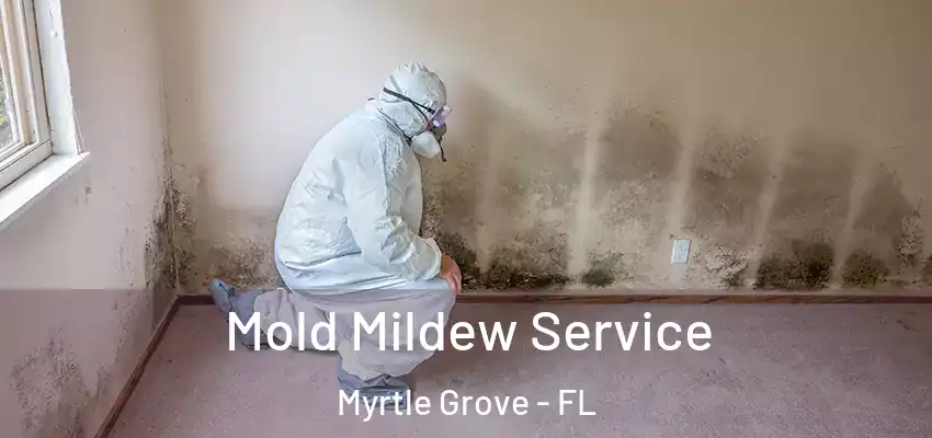 Mold Mildew Service Myrtle Grove - FL