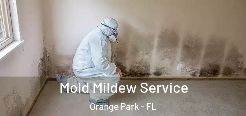  Mold Mildew Service Orange Park - FL