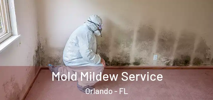  Mold Mildew Service Orlando - FL