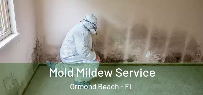  Mold Mildew Service Ormond Beach - FL