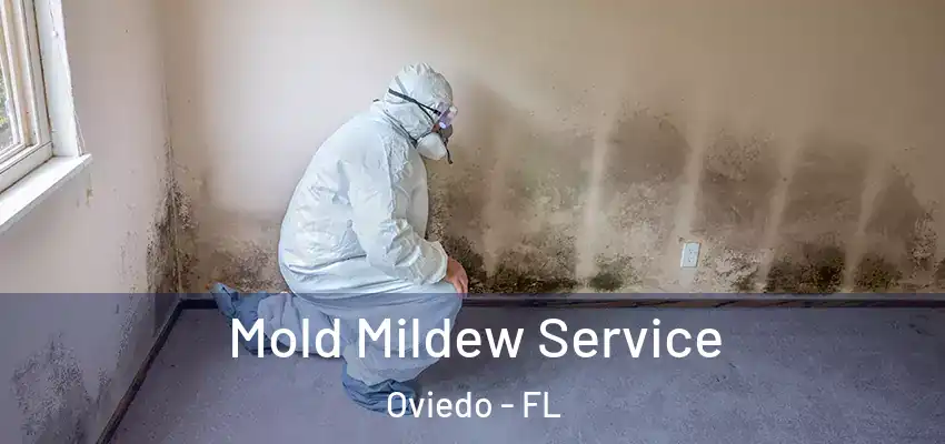  Mold Mildew Service Oviedo - FL