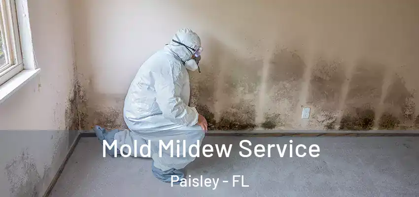  Mold Mildew Service Paisley - FL
