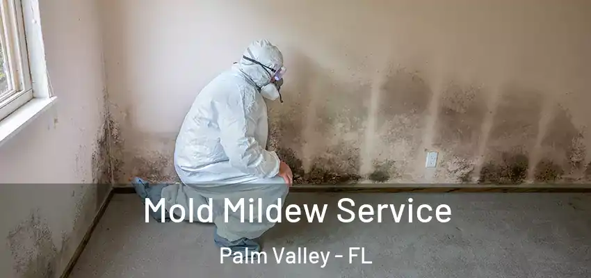 Mold Mildew Service Palm Valley - FL