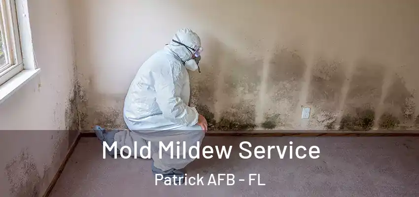  Mold Mildew Service Patrick AFB - FL