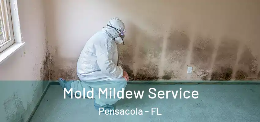 Mold Mildew Service Pensacola - FL
