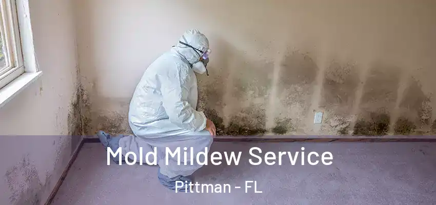  Mold Mildew Service Pittman - FL