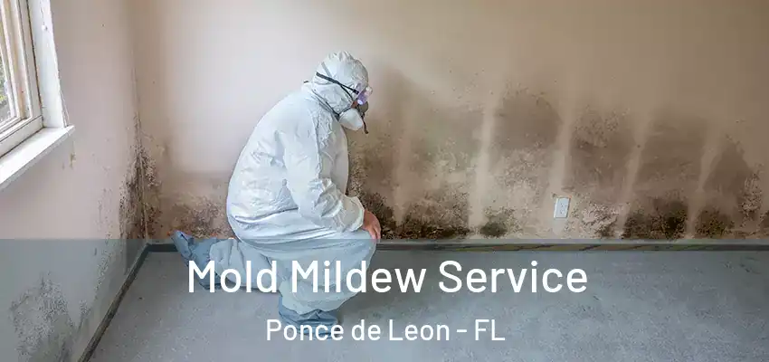  Mold Mildew Service Ponce de Leon - FL