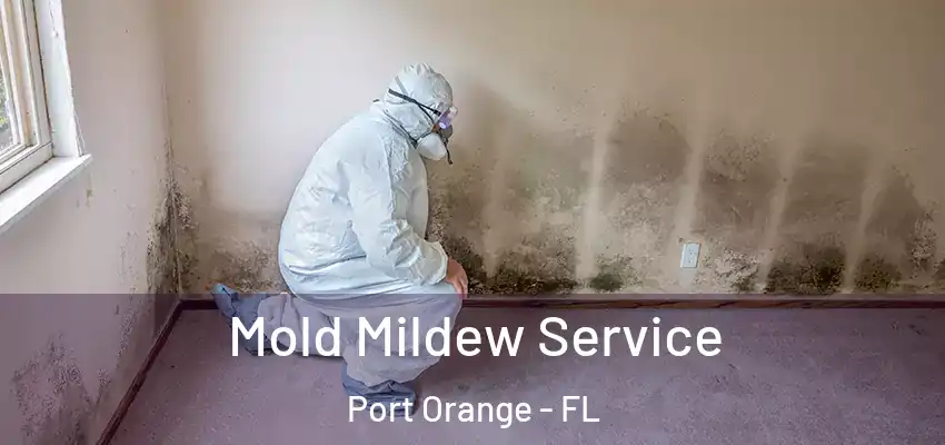 Mold Mildew Service Port Orange - FL
