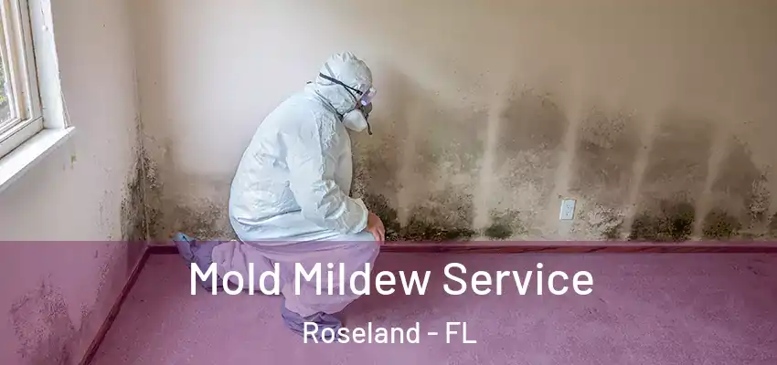 Mold Mildew Service Roseland - FL
