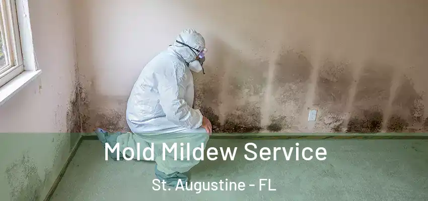  Mold Mildew Service St. Augustine - FL