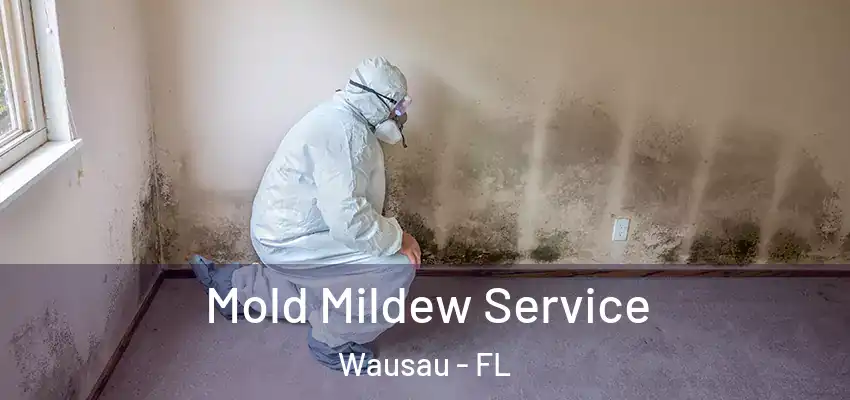  Mold Mildew Service Wausau - FL