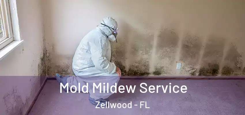  Mold Mildew Service Zellwood - FL