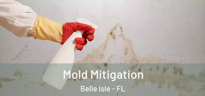 Mold Mitigation Belle Isle - FL