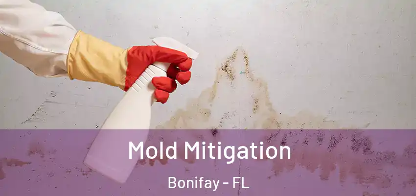  Mold Mitigation Bonifay - FL