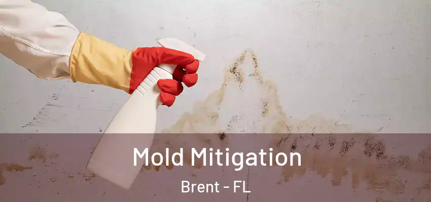 Mold Mitigation Brent - FL