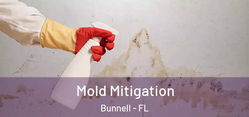 Mold Mitigation Bunnell - FL