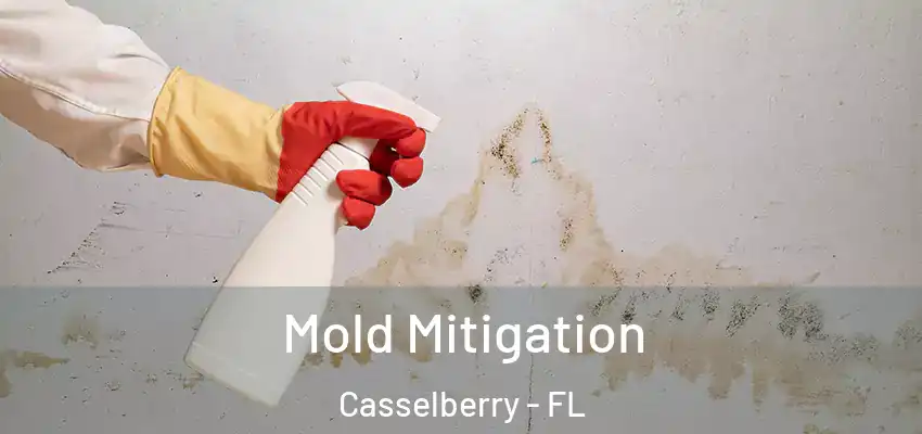  Mold Mitigation Casselberry - FL