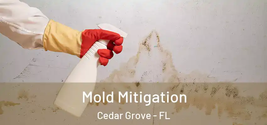  Mold Mitigation Cedar Grove - FL