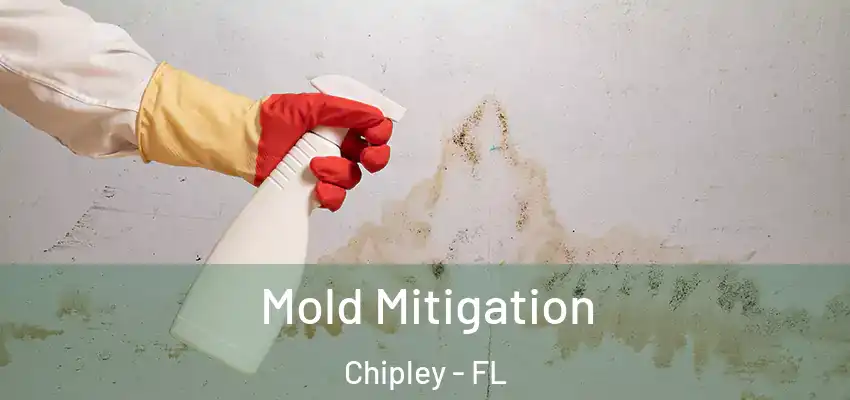 Mold Mitigation Chipley - FL