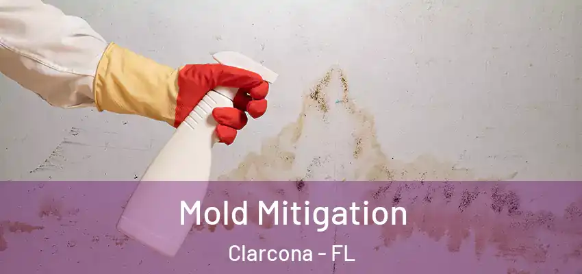  Mold Mitigation Clarcona - FL