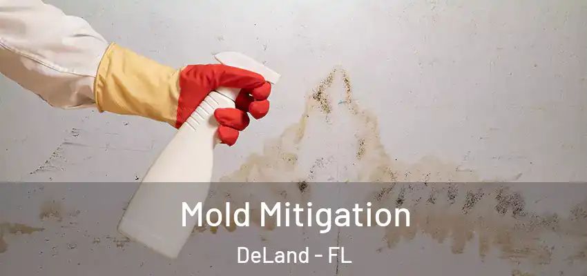 Mold Mitigation DeLand - FL