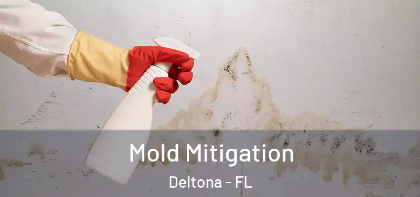 Mold Mitigation Deltona - FL