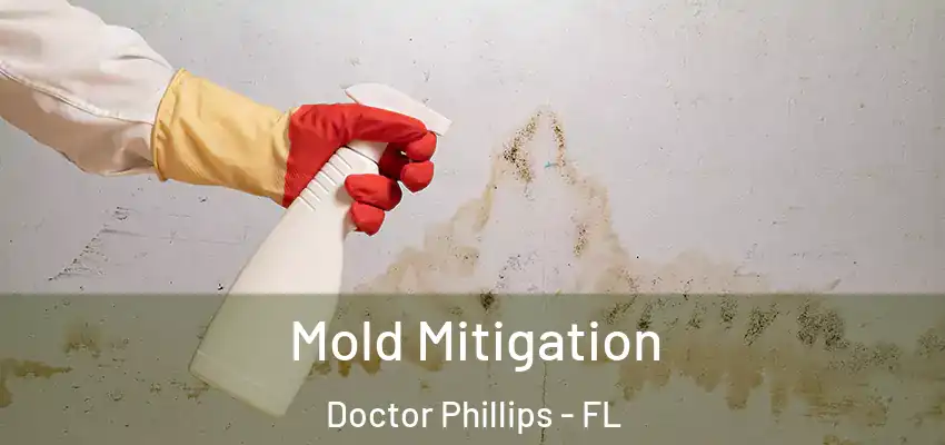 Mold Mitigation Doctor Phillips - FL