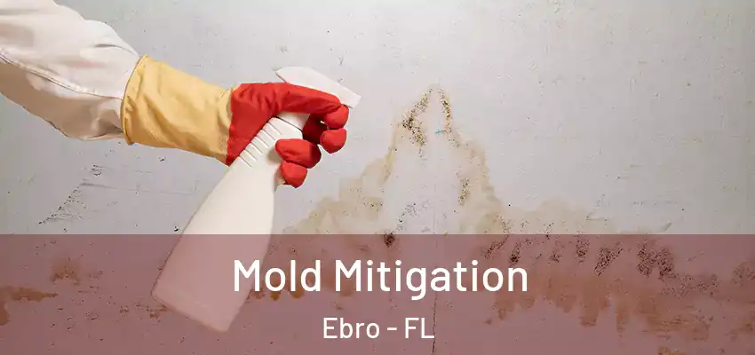 Mold Mitigation Ebro - FL
