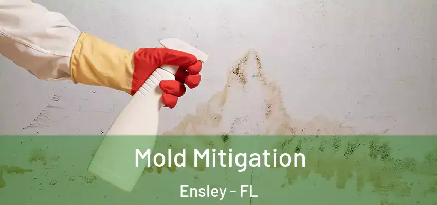 Mold Mitigation Ensley - FL
