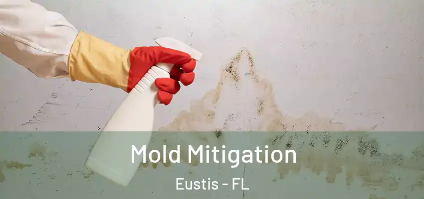  Mold Mitigation Eustis - FL