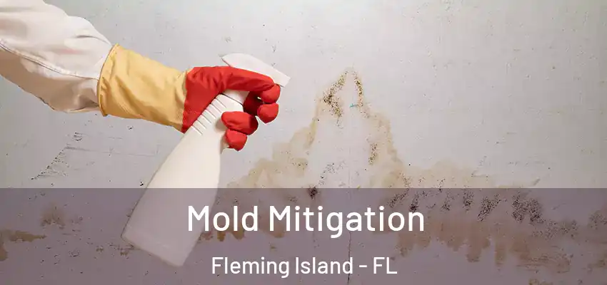 Mold Mitigation Fleming Island - FL