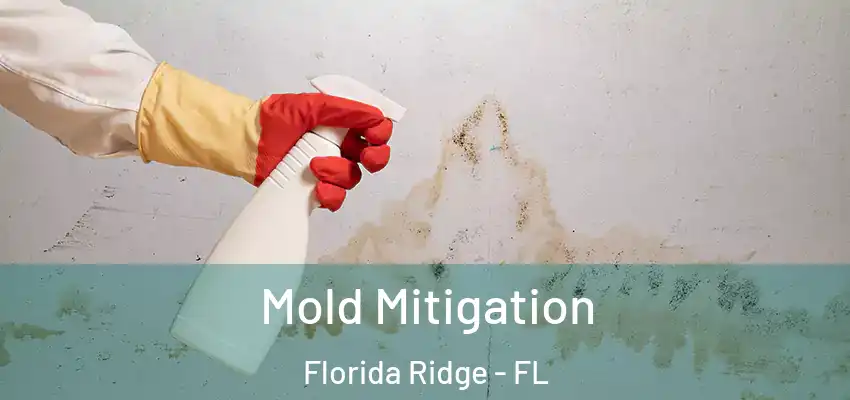 Mold Mitigation Florida Ridge - FL
