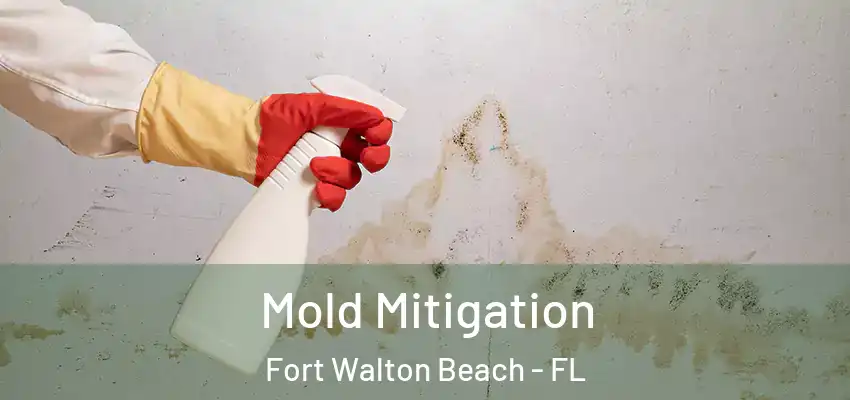 Mold Mitigation Fort Walton Beach - FL