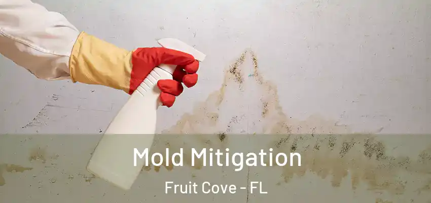 Mold Mitigation Fruit Cove - FL