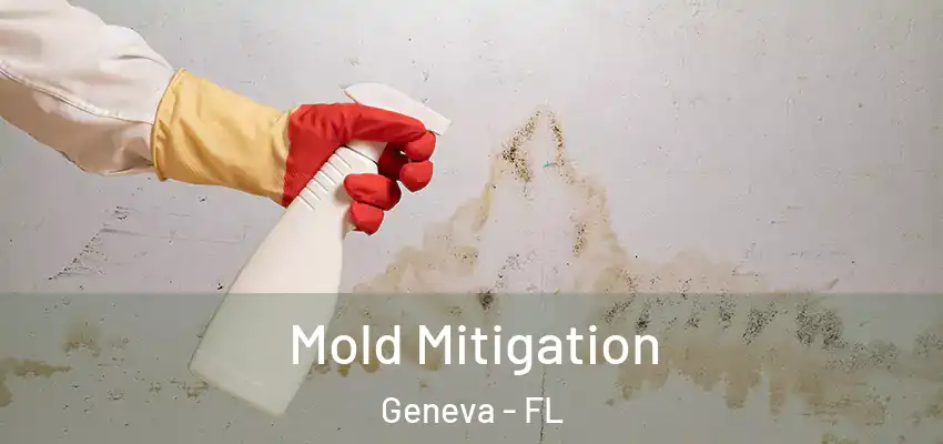  Mold Mitigation Geneva - FL