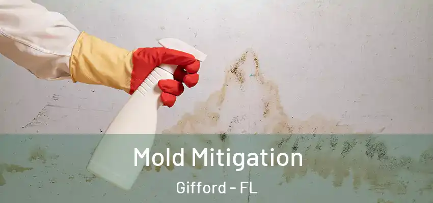 Mold Mitigation Gifford - FL