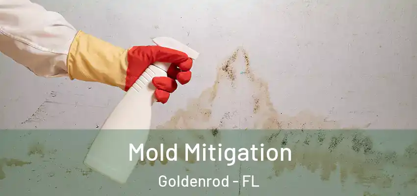  Mold Mitigation Goldenrod - FL