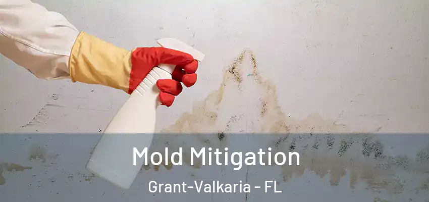 Mold Mitigation Grant-Valkaria - FL