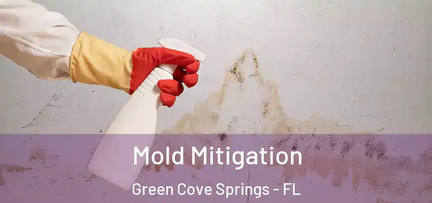 Mold Mitigation Green Cove Springs - FL