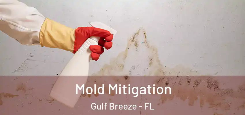  Mold Mitigation Gulf Breeze - FL
