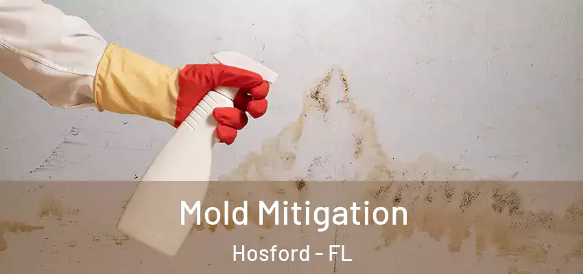 Mold Mitigation Hosford - FL