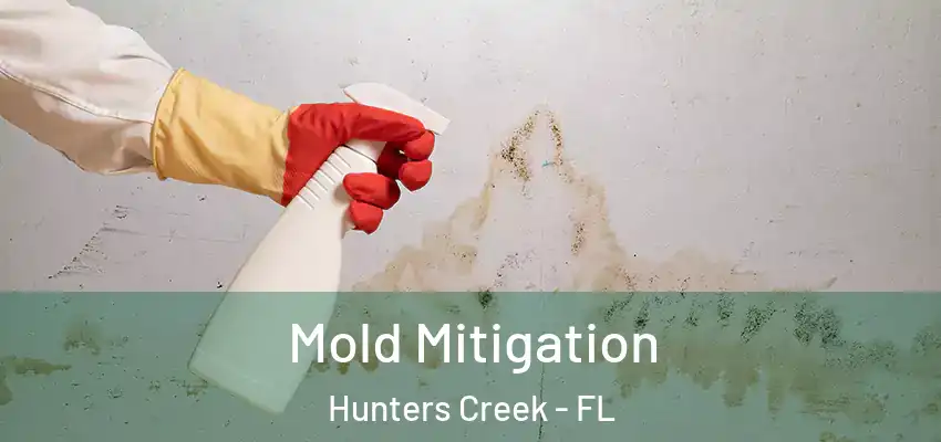 Mold Mitigation Hunters Creek - FL